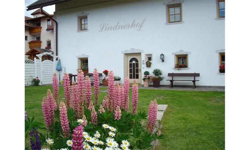 Lindnerhof Urlaub Am Bauernhof Hotell San Lorenzo di Sebato Exteriör bild
